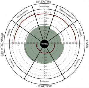 Leadership Circle